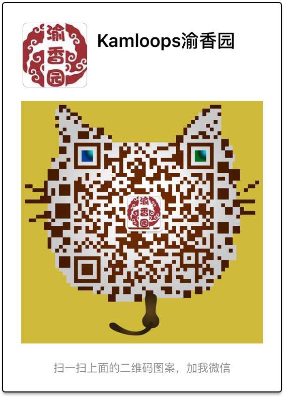 bar code
